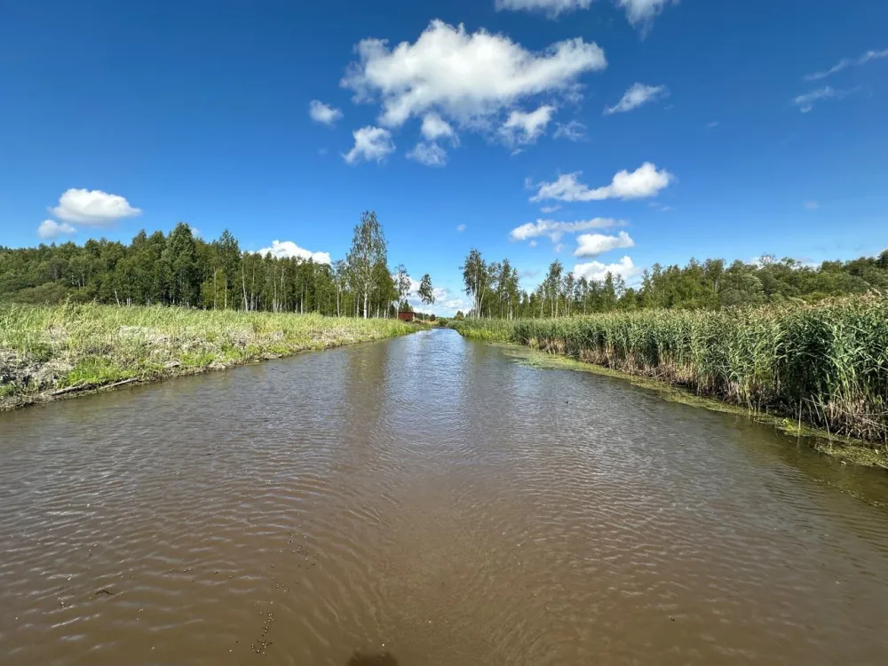 Бобровый берег-отдых на берегу Карельского озера фото 3