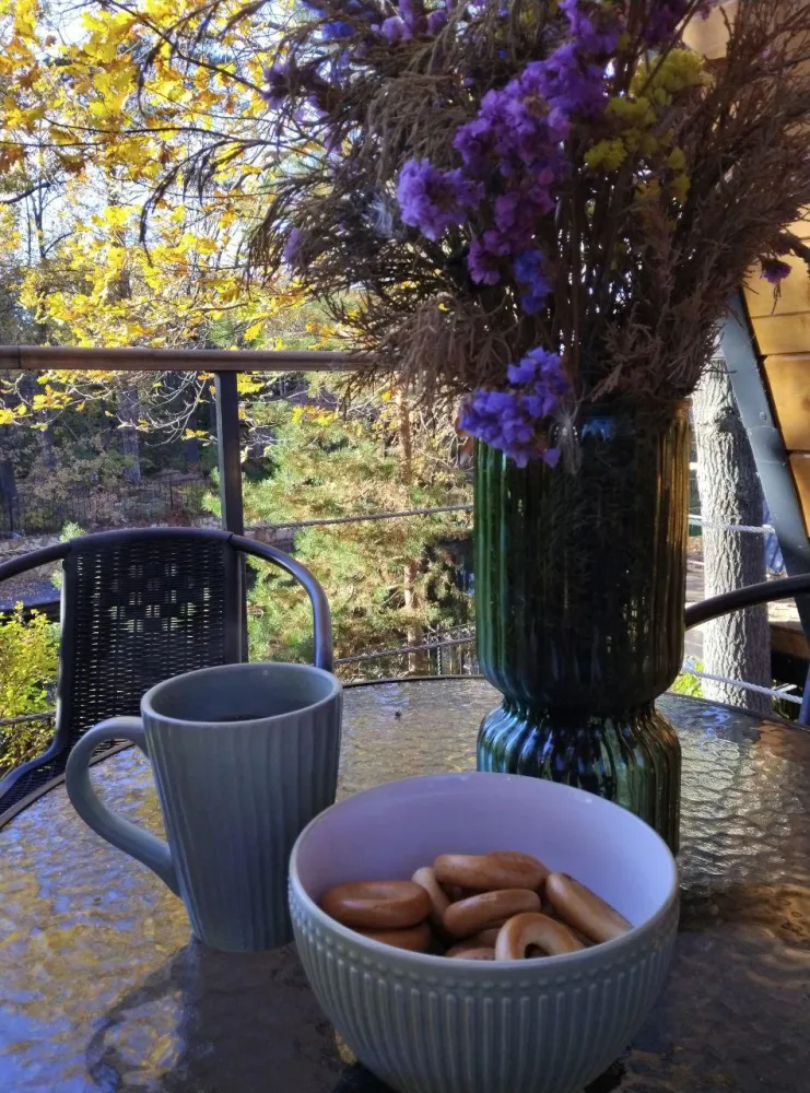 Борвиха фото 3