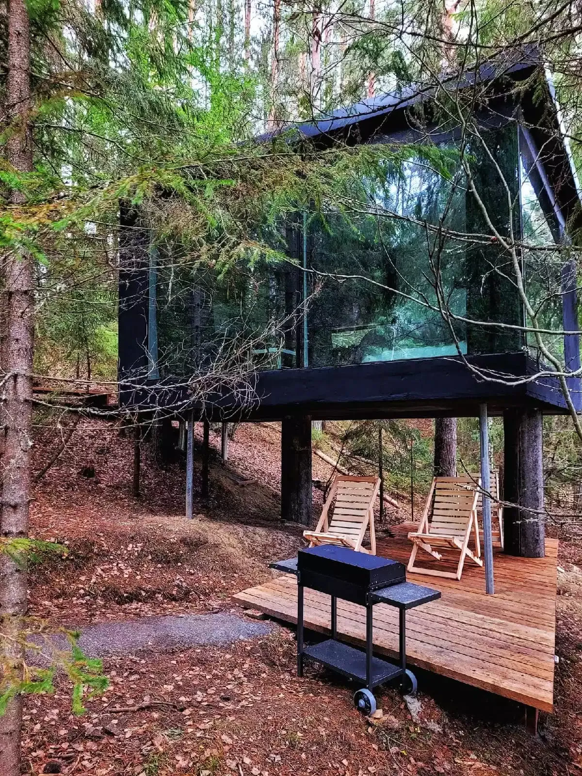 Коттедж с видом на лес