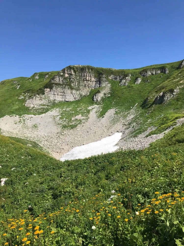 Бунгало фото 3