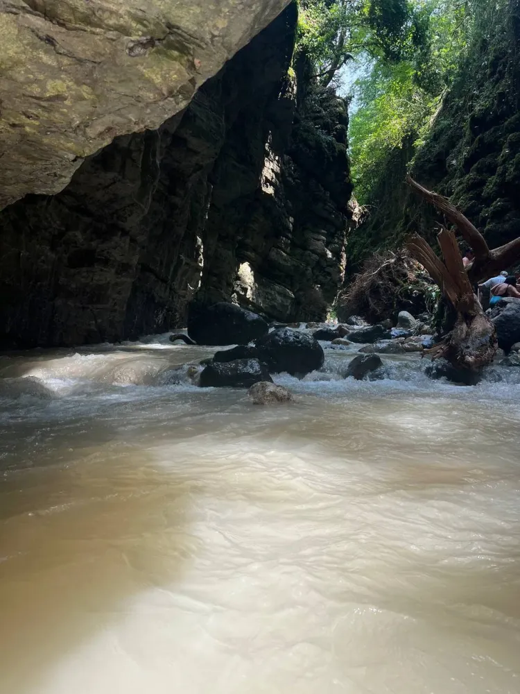 Бунгало фото 4