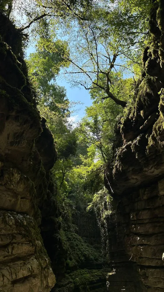 Бунгало фото 5