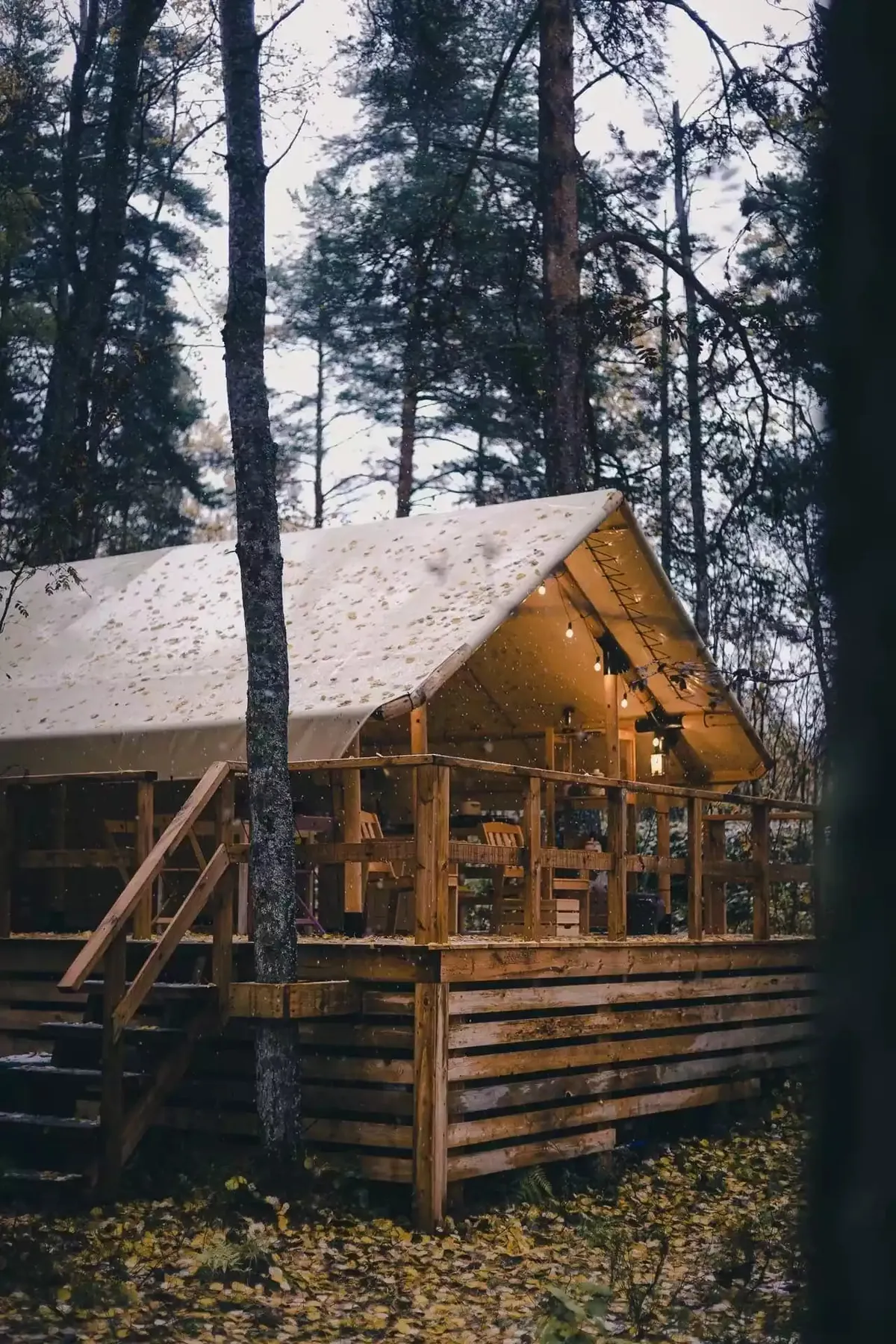 Camp Rock