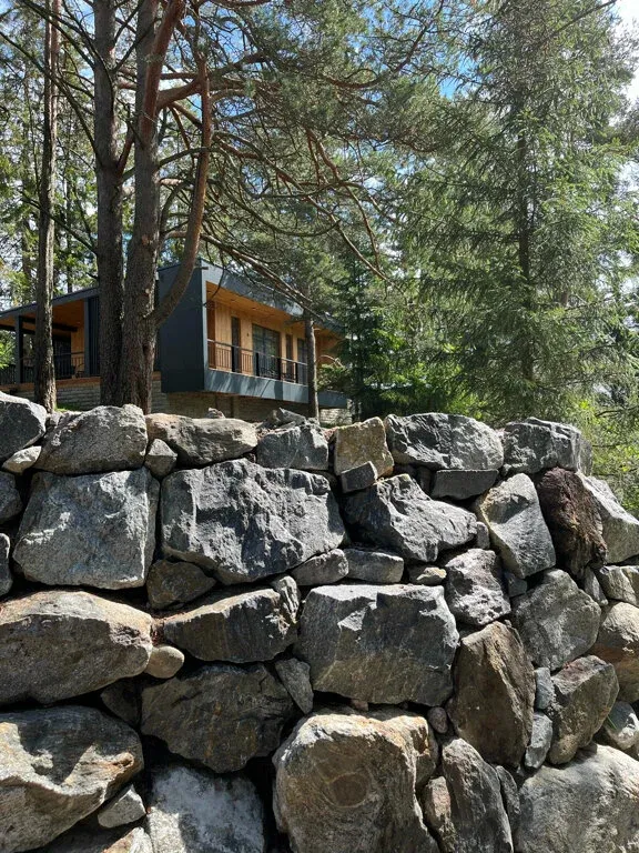 Чайка 1918 фото 4