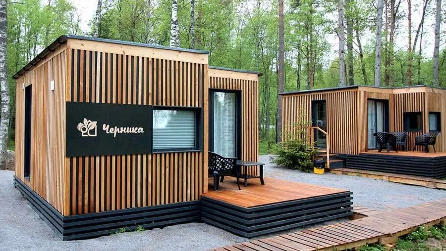 Черника фото 4