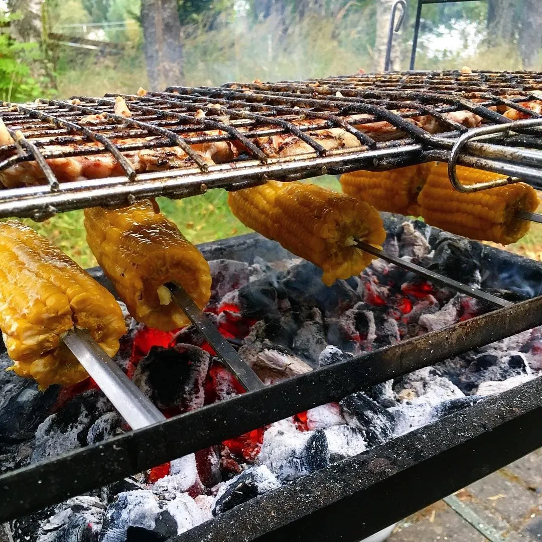 Черника фото 5