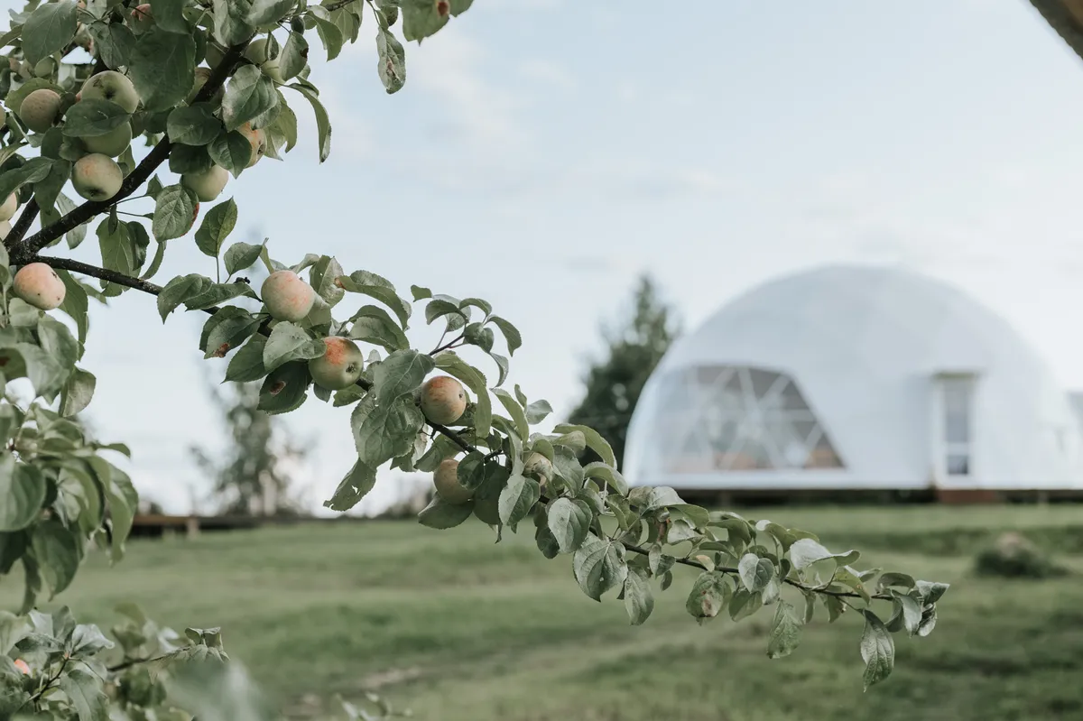 Дача Липы фото 3