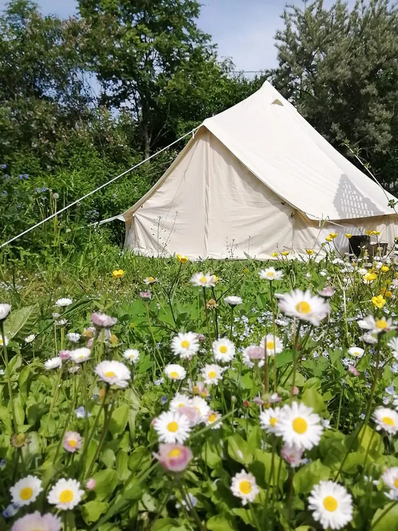 Шатер Пионовый