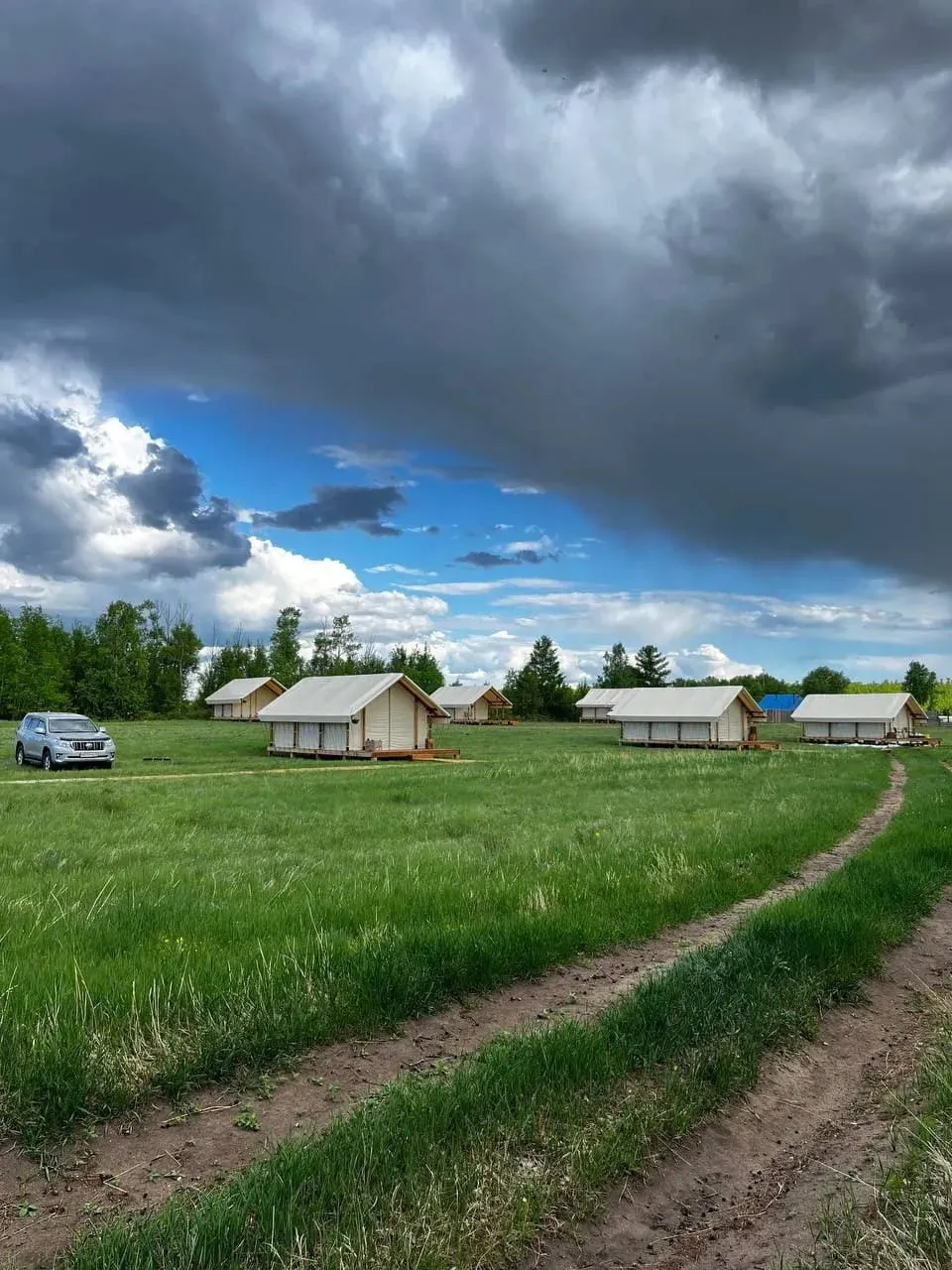 Дикий ДаДа фото 2