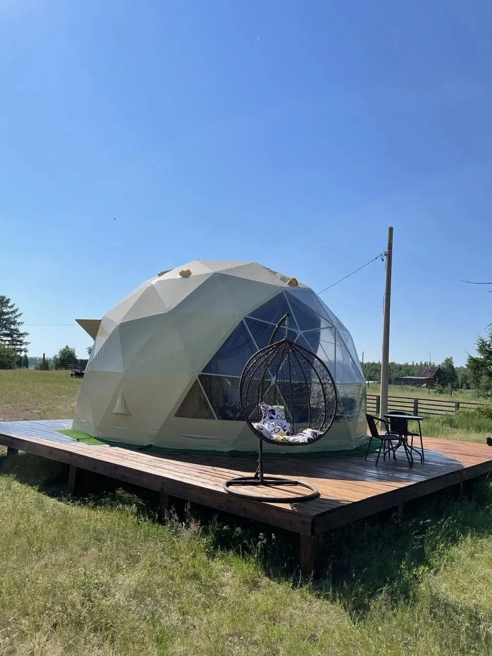 Дикий ДаДа фото 3