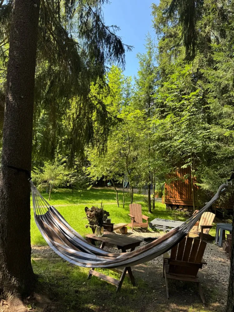 Дом и Елки фото 2