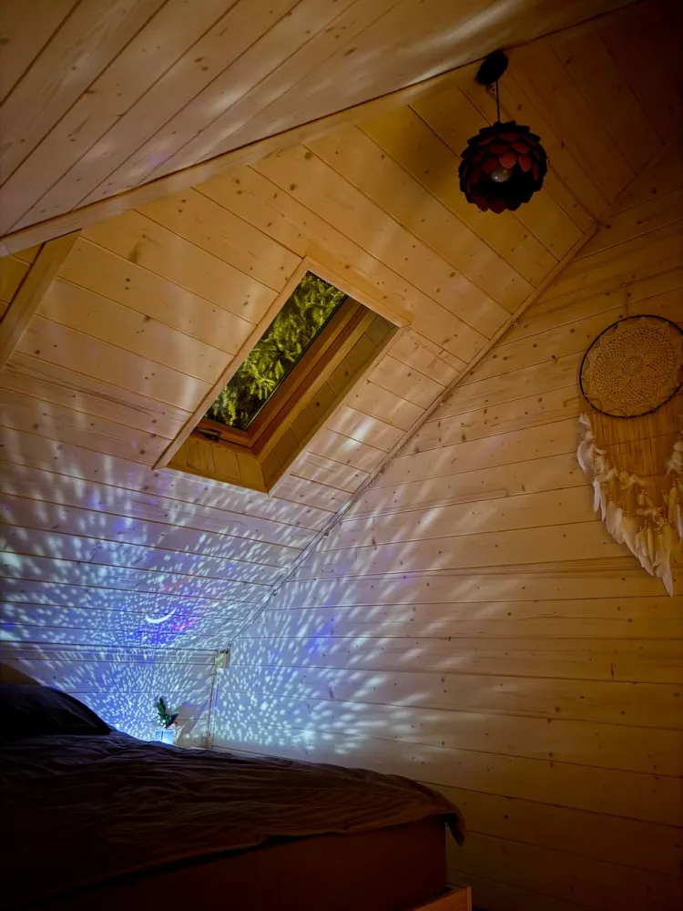 Дом и Елки фото 4