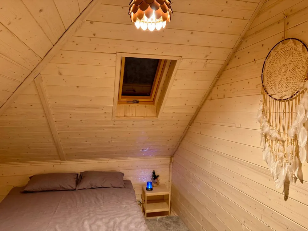 Дом и Елки фото 5