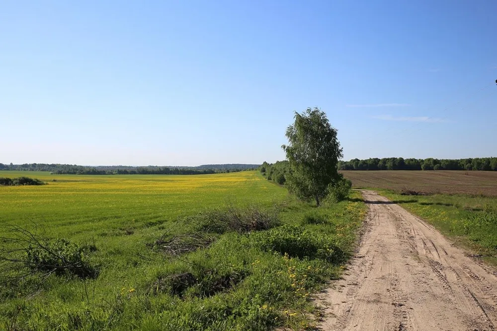 Дом Ларди фото 2