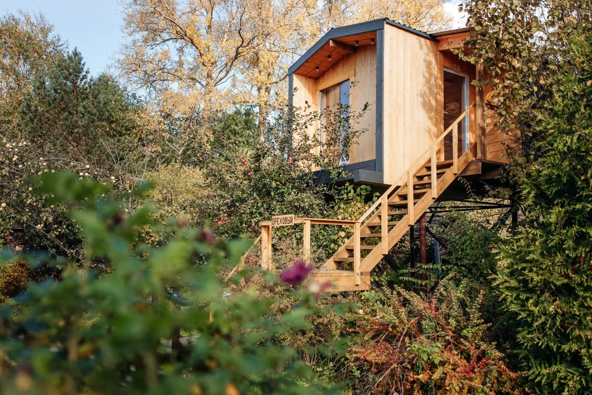 Дом на дереве