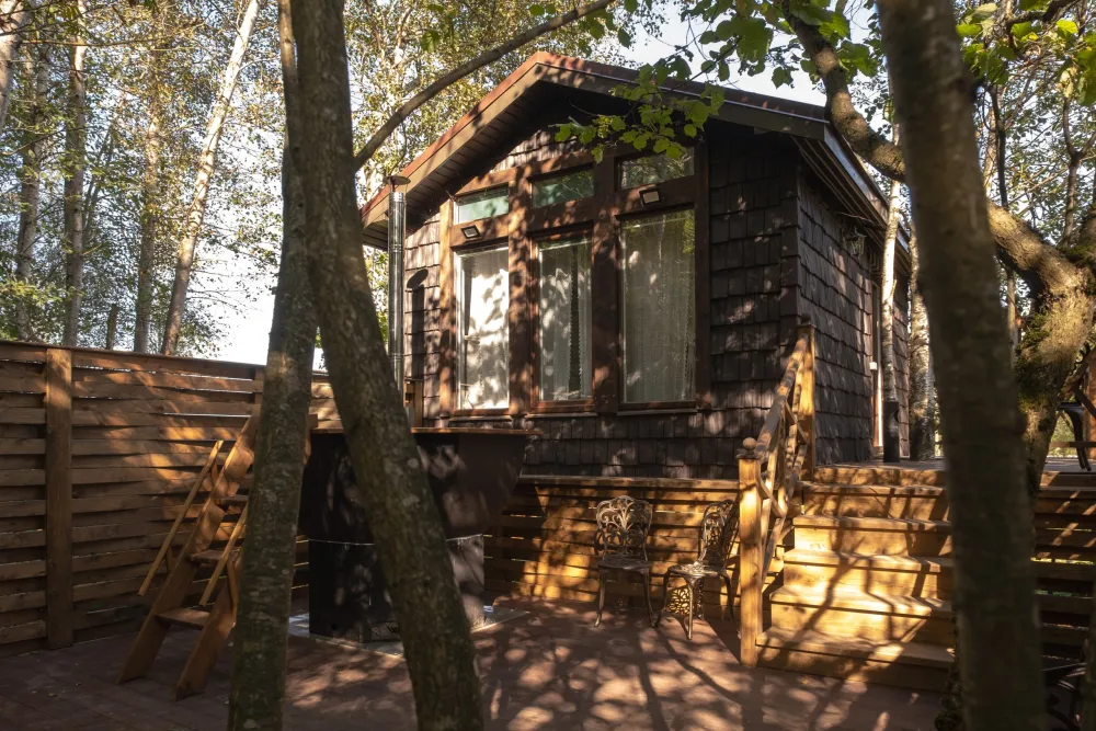 Дом на высоком дереве фото 4