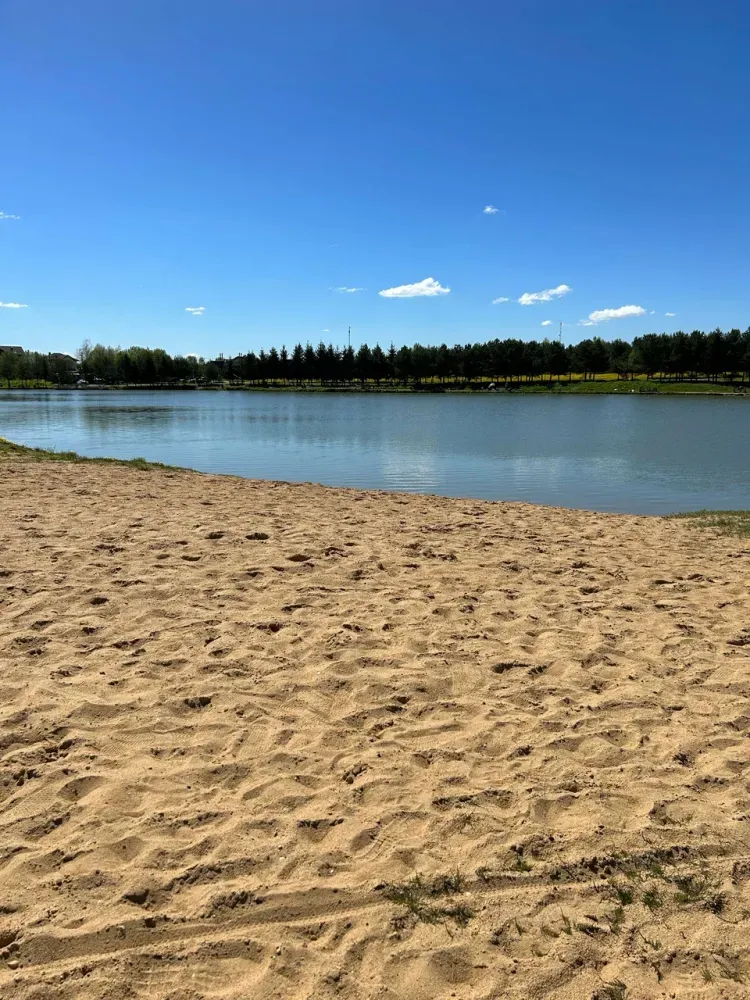 Дом шале в Сорочанах фото 3