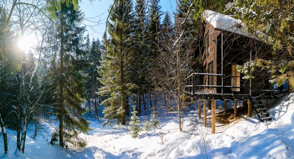 Дом среди деревьев фото 2