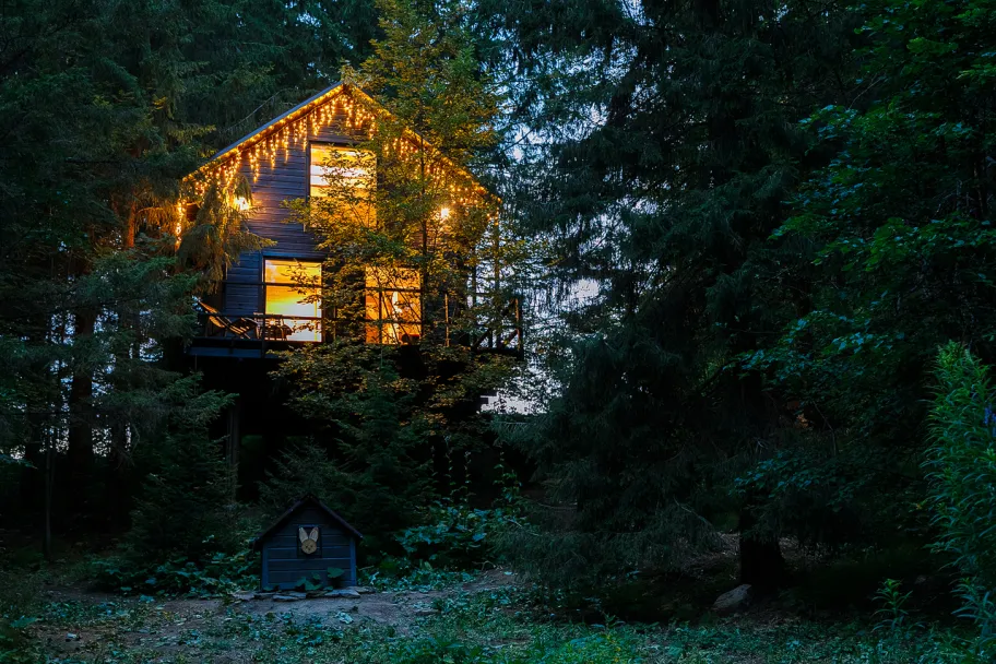 Дом среди деревьев фото 5