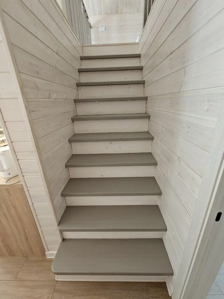 Дом в Лесу, Доброград фото 5