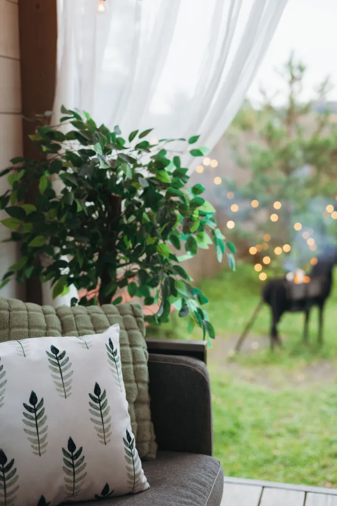 Дома у воды и леса фото 5