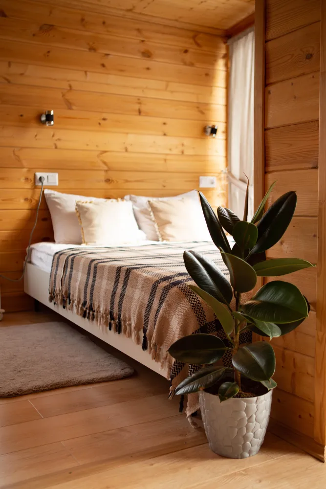 Dream House Успенка фото 3