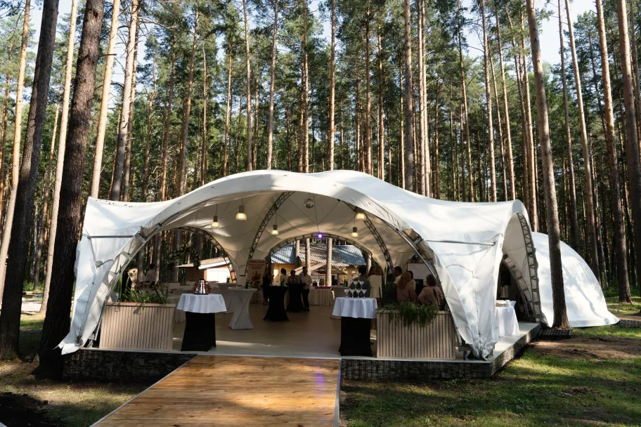 ДухЛес фото 2