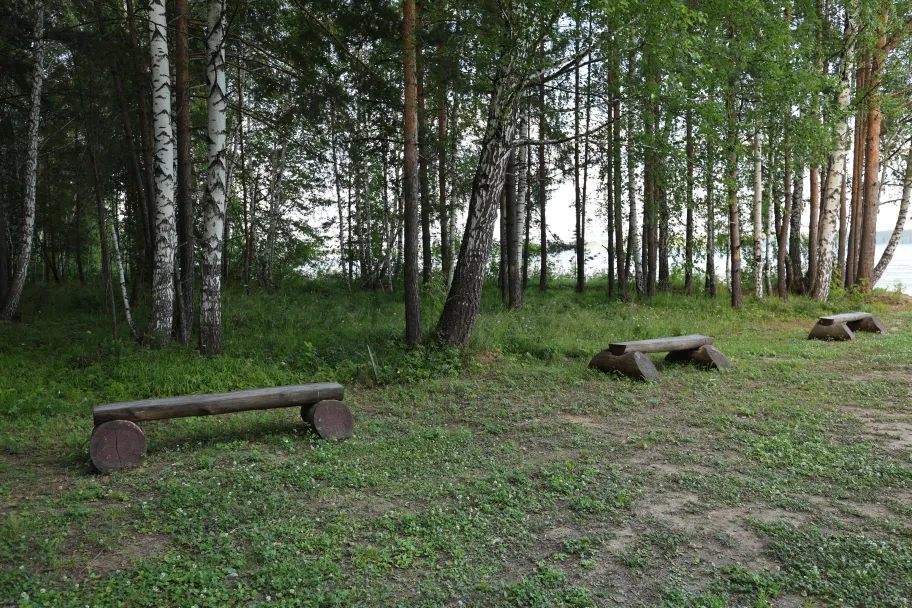 ДухЛес фото 4