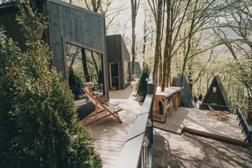 Dzen polyana фото 4