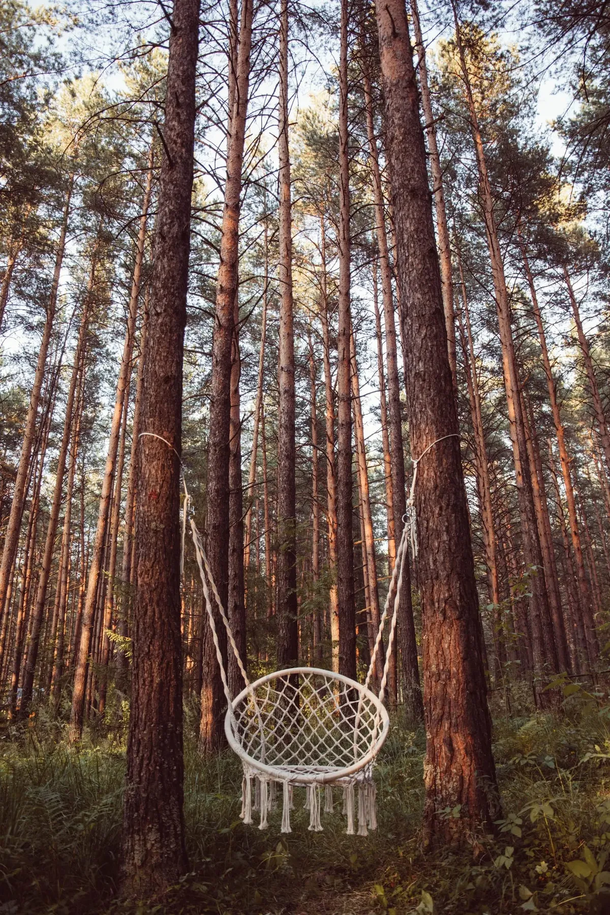 Eco Park Canada фото 2