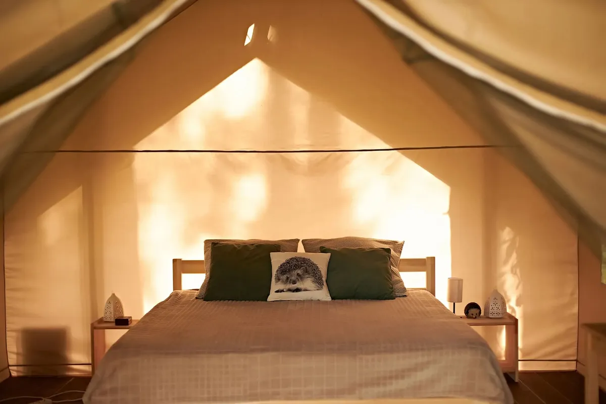 Eco Park Canada фото 4