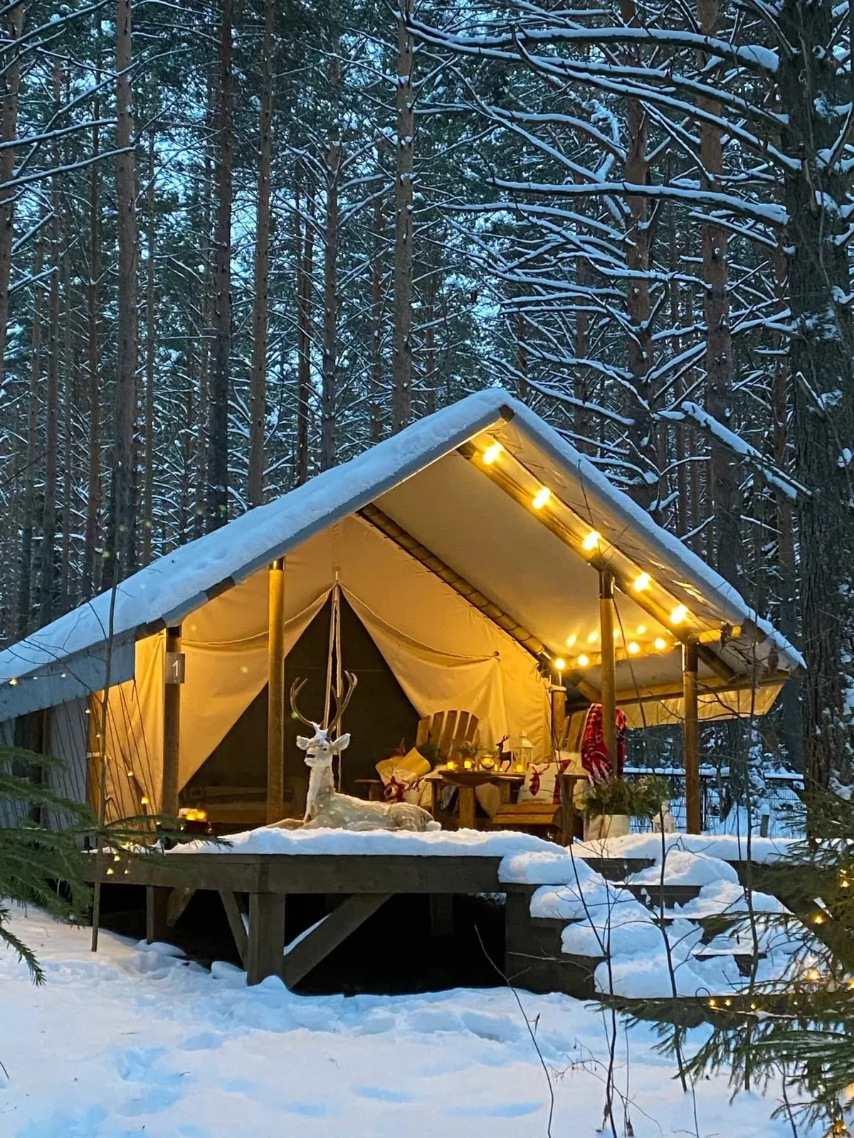 Круглогодичный шатер