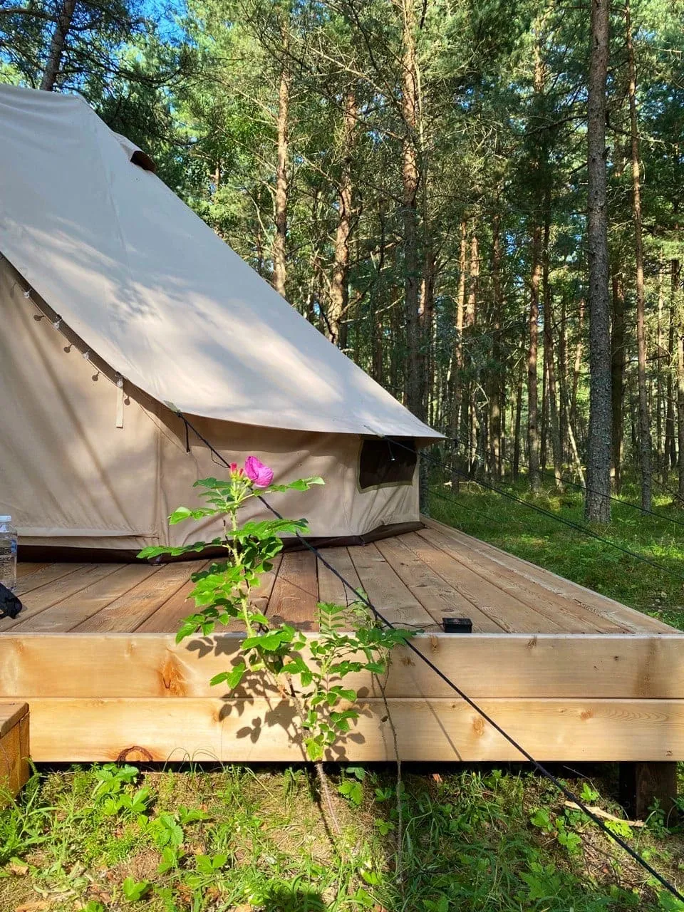 Rõsa - Шатер стандарт на море