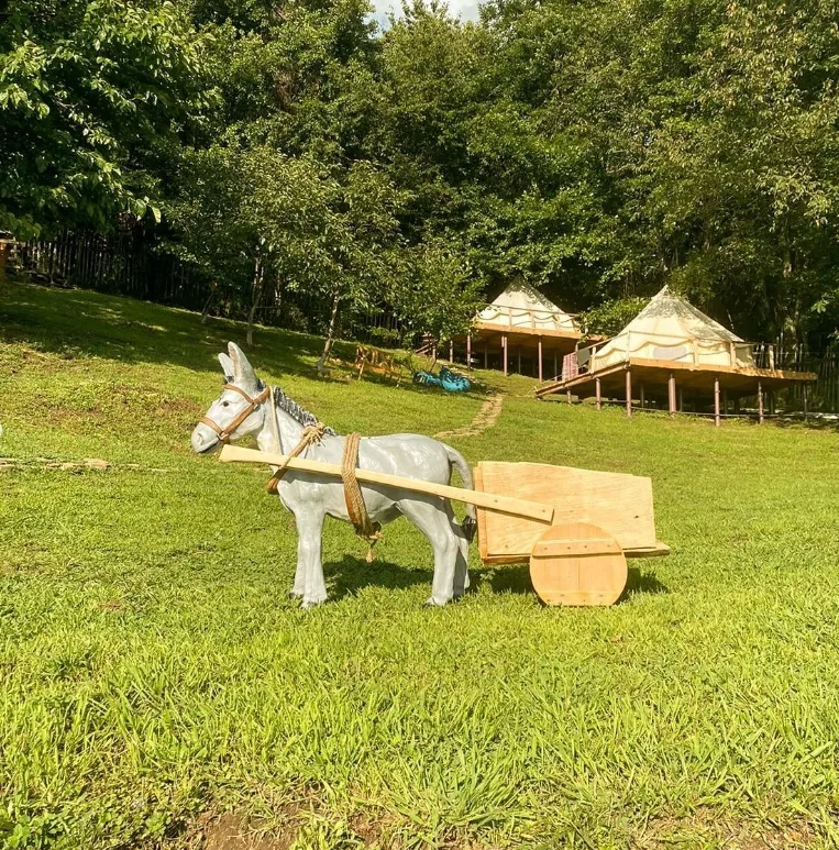 EcoVillageSochi фото 3