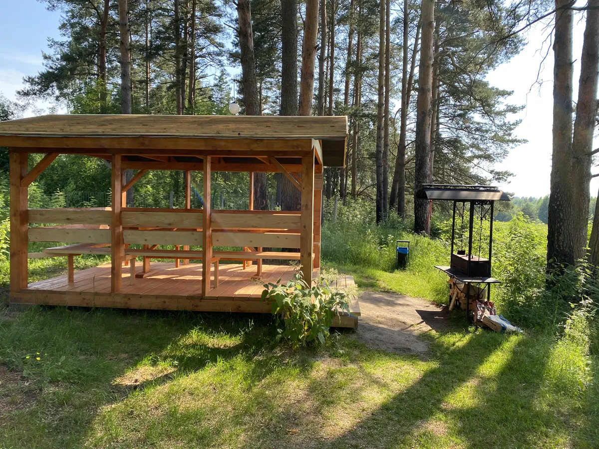 Ефимов бор фото 2