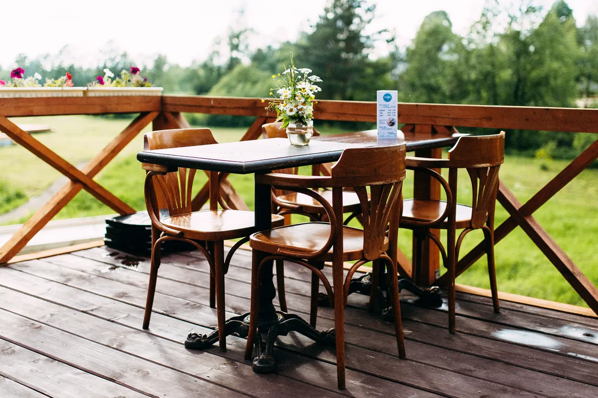 Ефимов бор фото 3