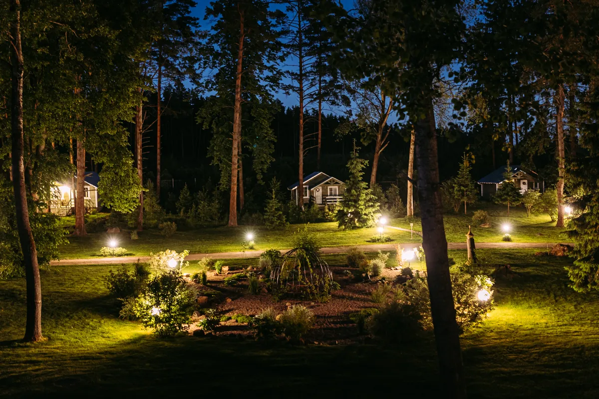 Ефимов бор фото 5