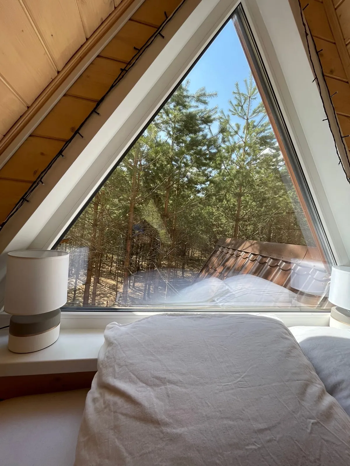 ЭКО Деревня FOREST (Форест) фото 2