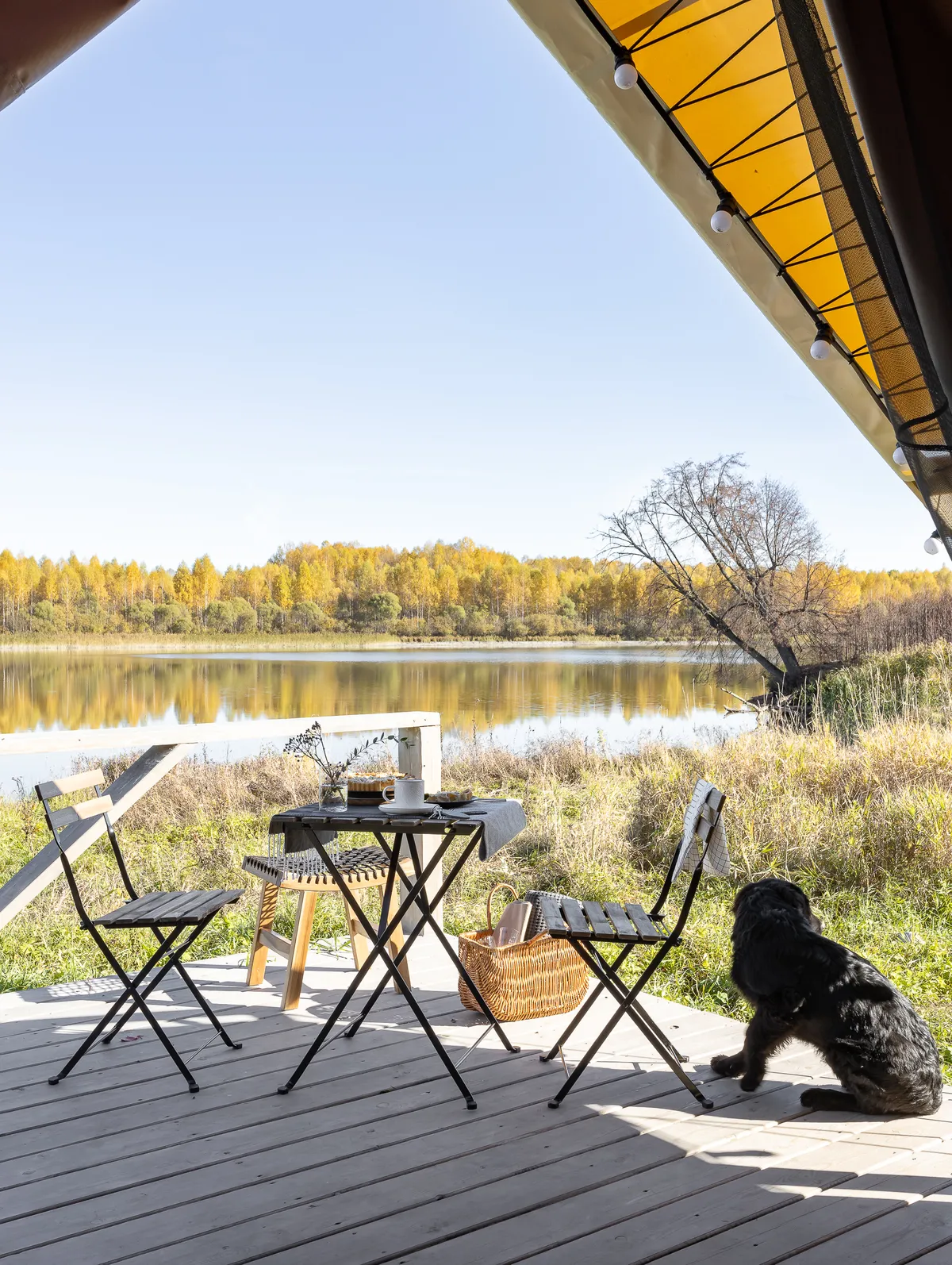 Эко-курорт Вазуза фото 3