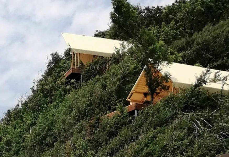 Эко-отель Гринвуд фото 3