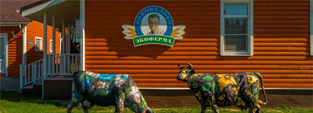 Эко-отель Коновалово фото 4