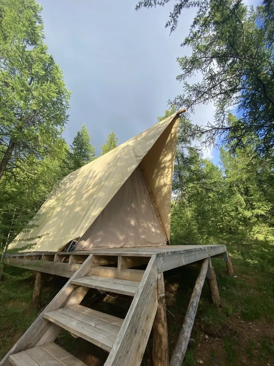 Лесной шатер