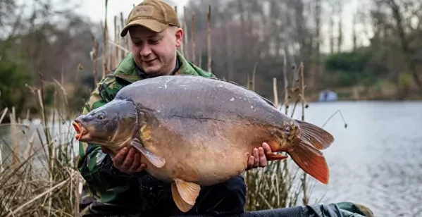 Эко-отель Плавное течение фото 3