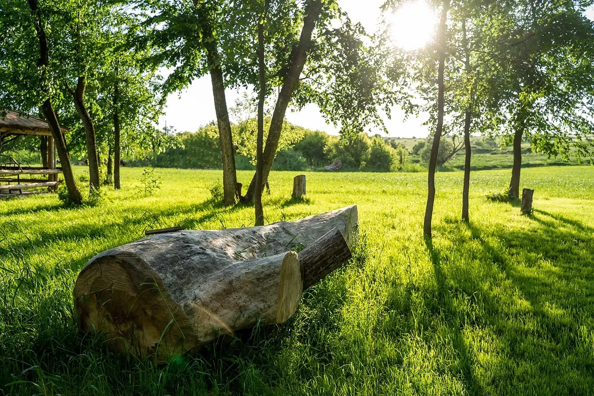 Эко-парк Излучина фото 3