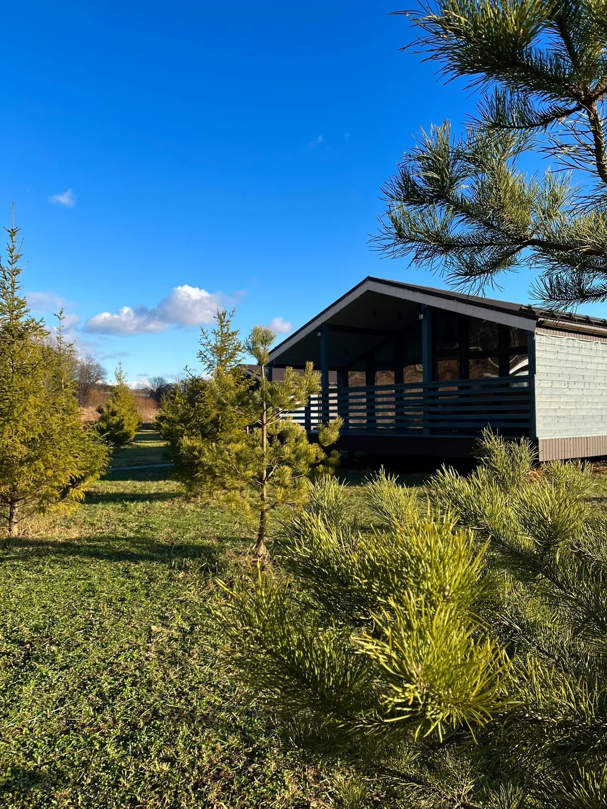 Экоферма Бунин Ручей