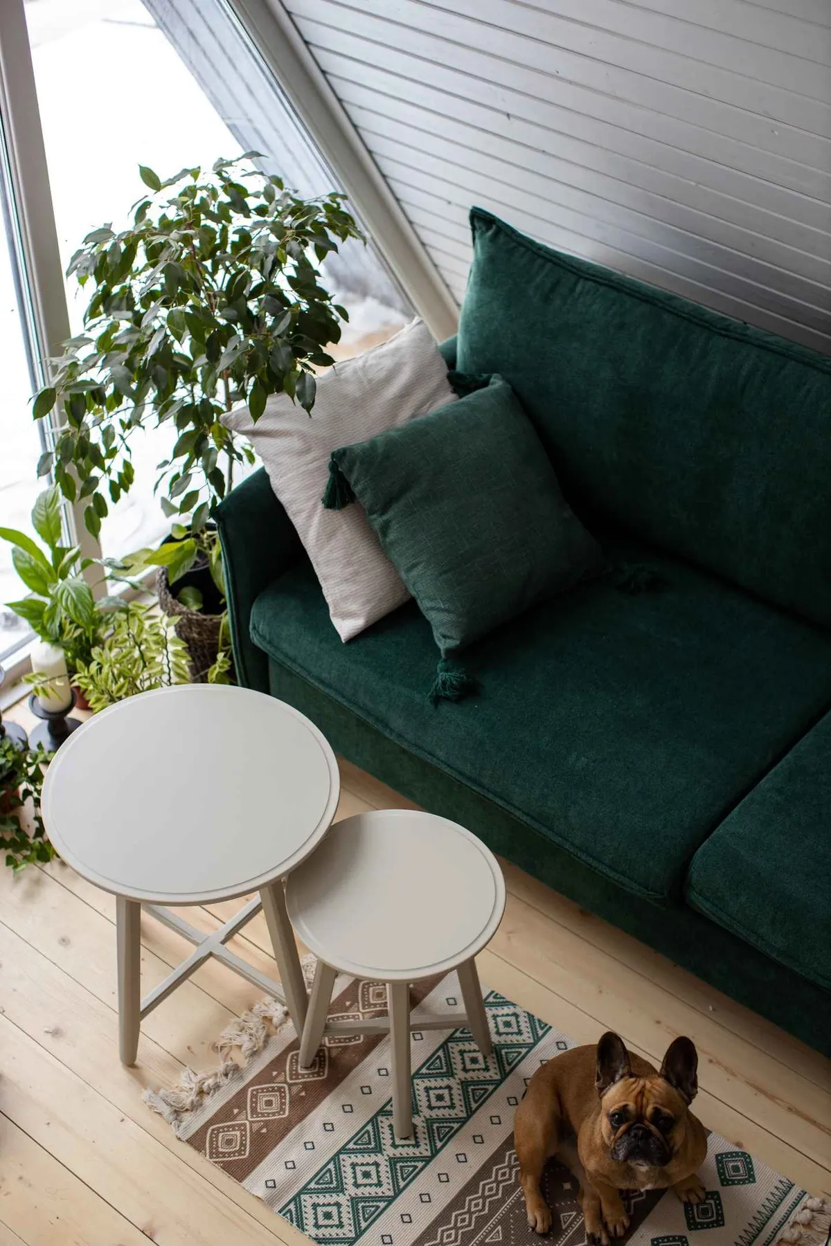 Экоферма Глушь фото 4