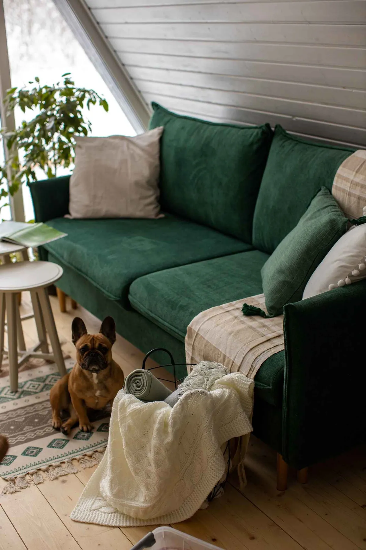 Экоферма Глушь фото 5