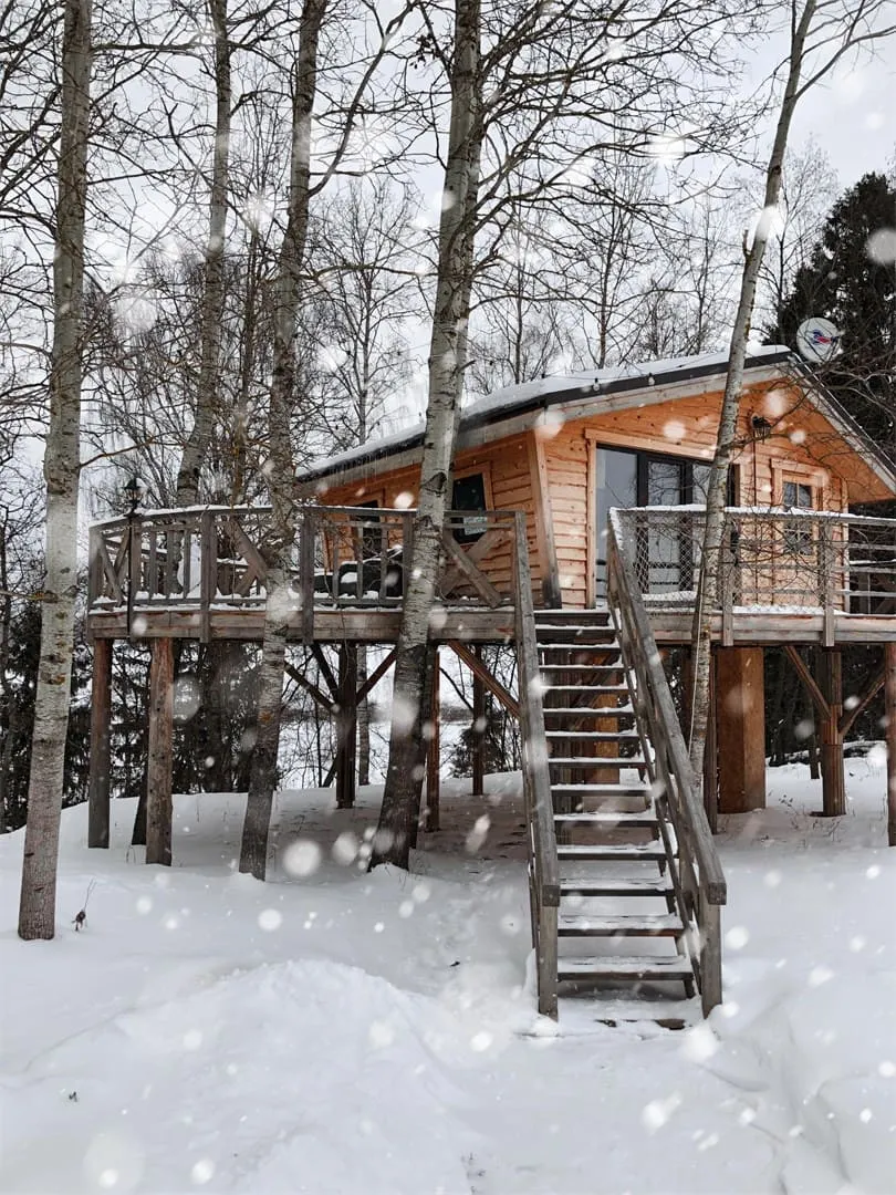 Малый дом на дереве