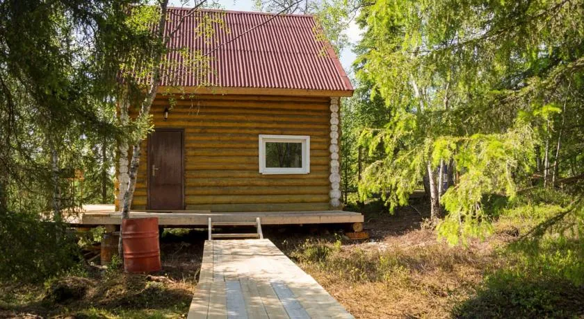 Экостровская фото 4