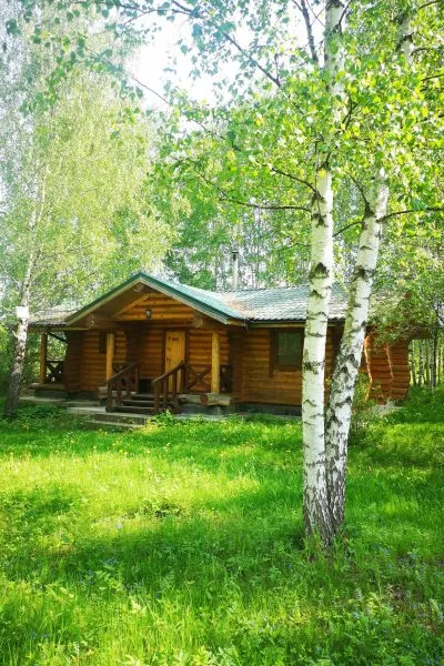 Елкино Перепелкино фото 2